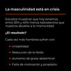 Soporte Natural de Testosterona
